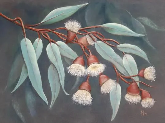 A pastel drawing of flowering gum blossoms, by class teacher Susan Eve