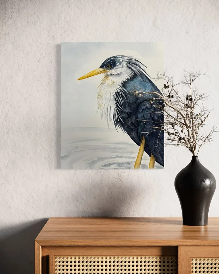 A Pied Heron