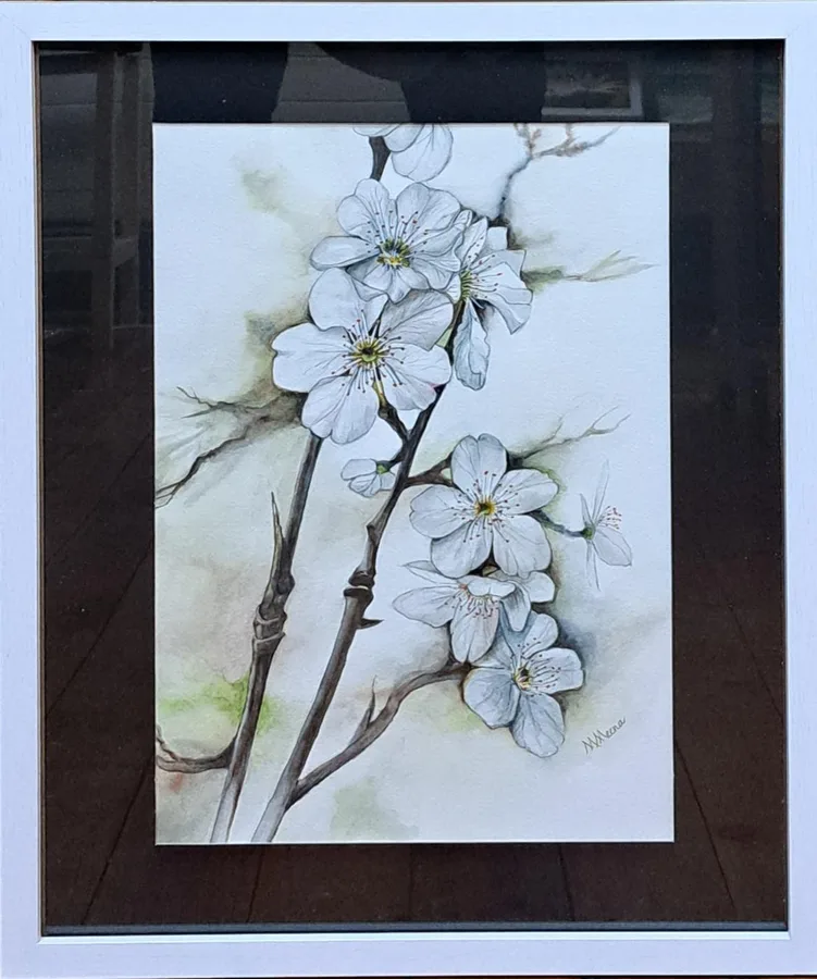 Blossoms