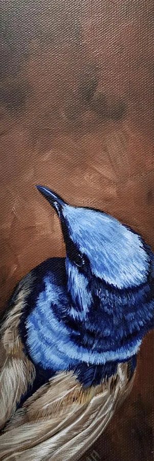 Blue Wren