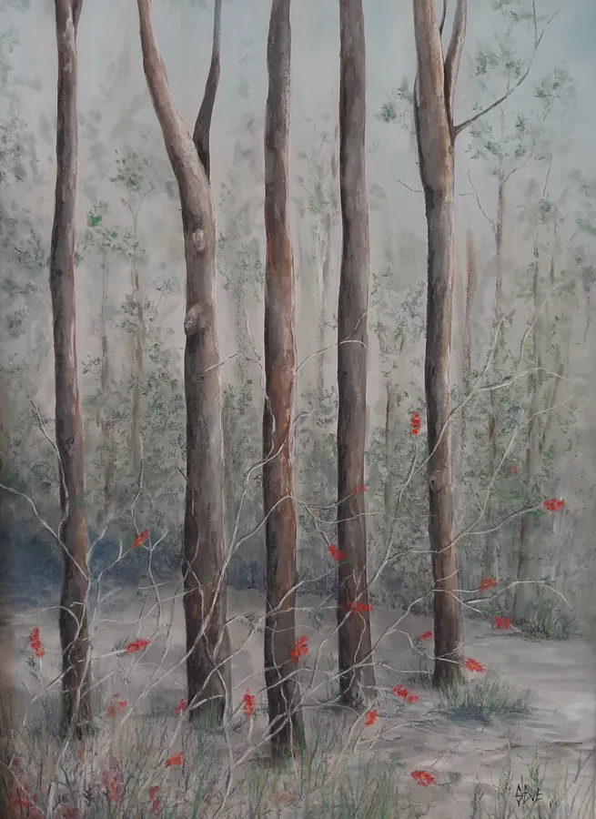 Bottle Brush Clearing
