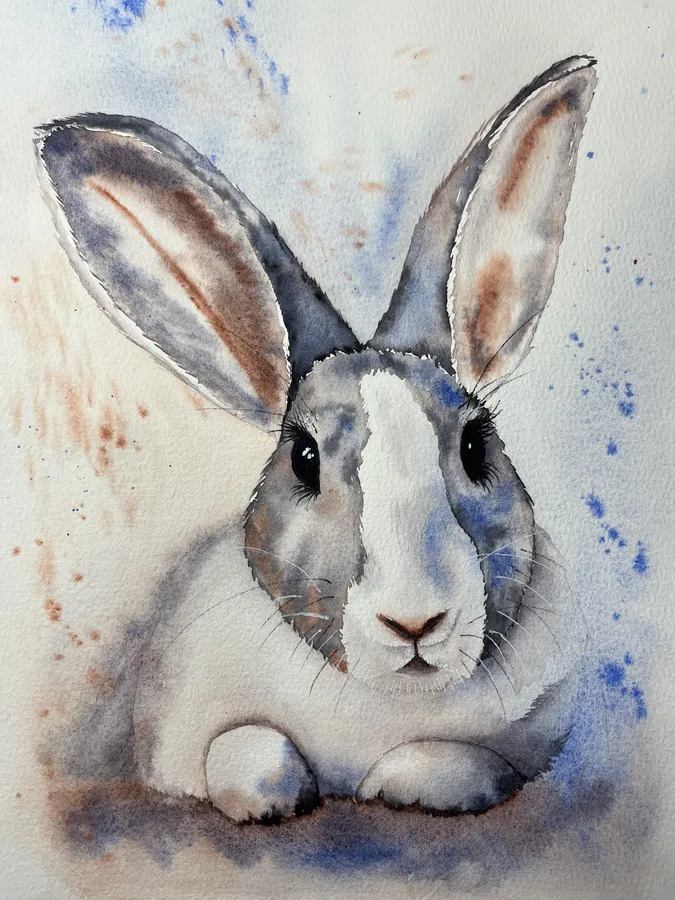Bunny
