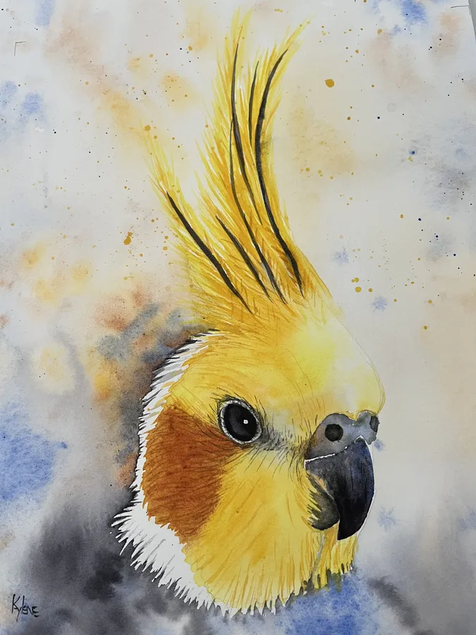 Cockatiel