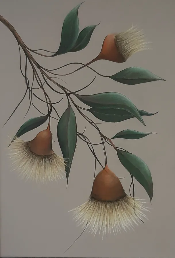Eucalypt Twist