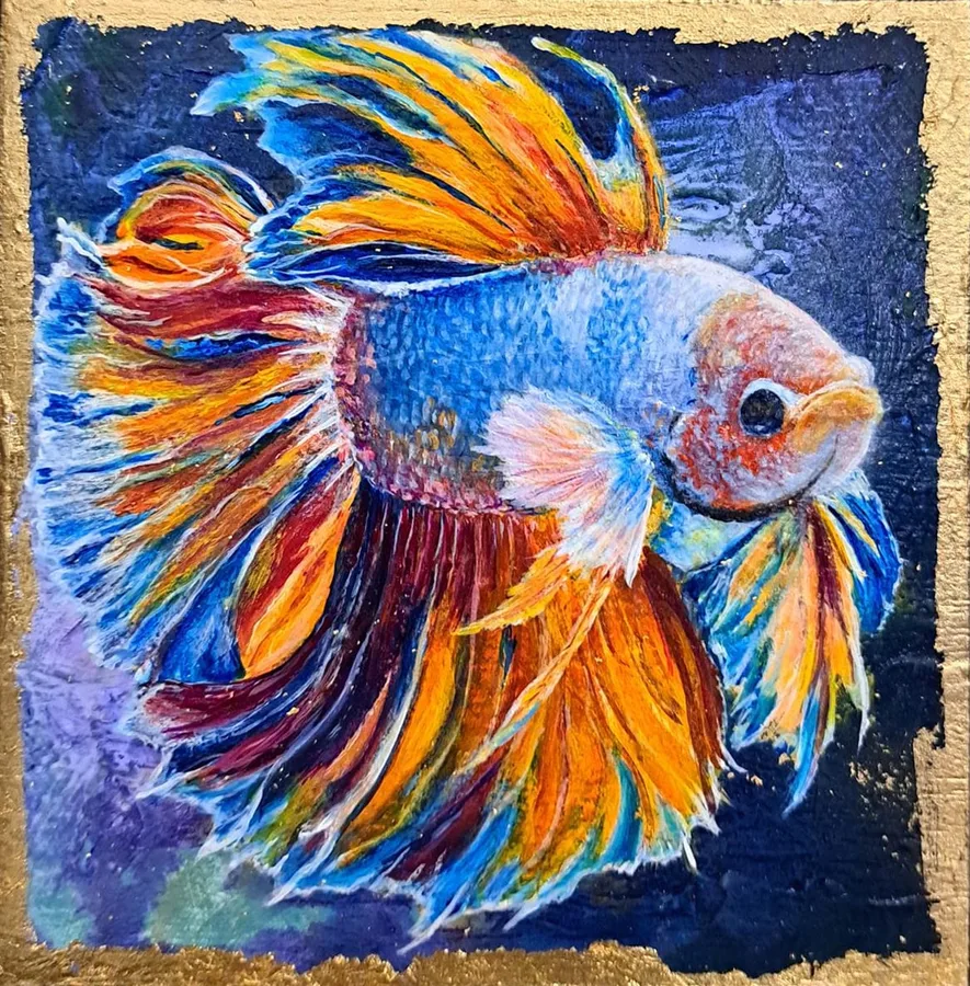 Fighting Fish – Gold Block Series