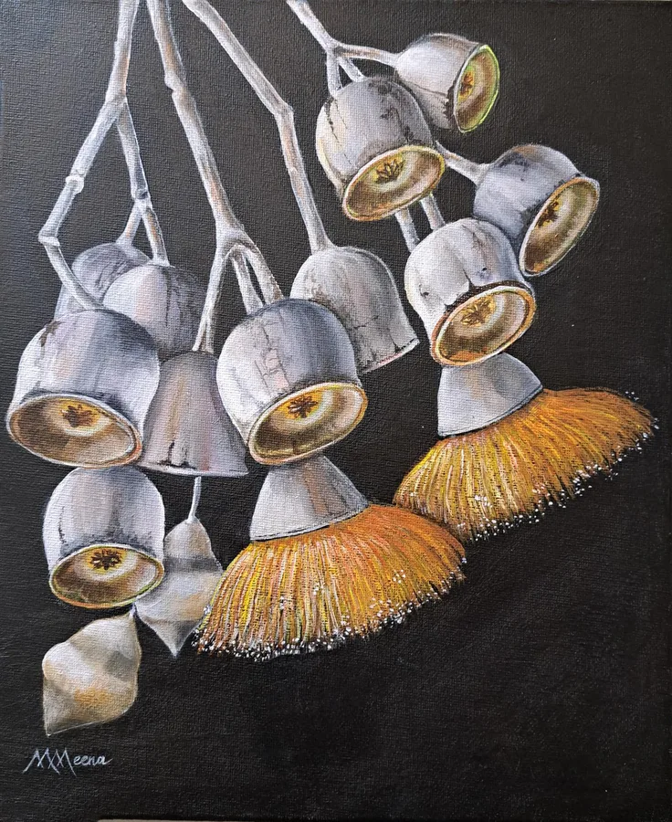 Golden Gumnuts