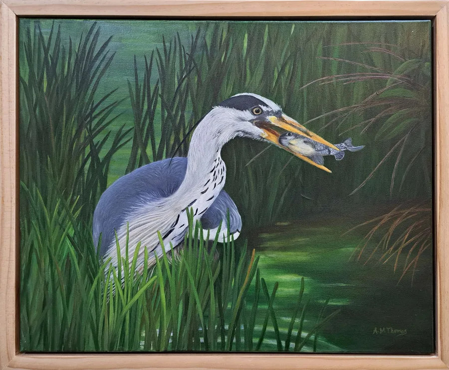 Heron’s Catch