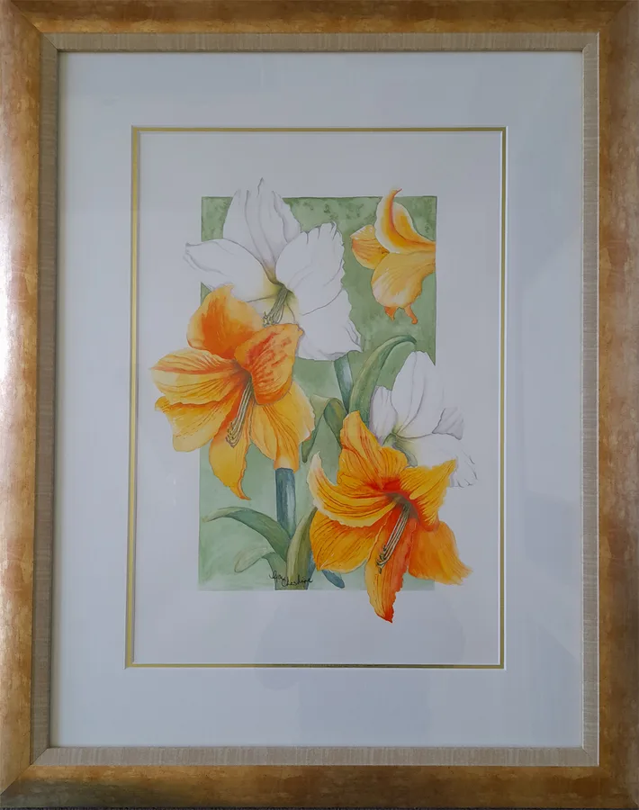 Hip Hip Hooray, a framed watercolour of orange and white spring flowers by Gay Cheshire