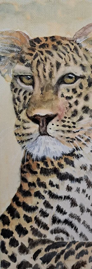 Leopard Eyes