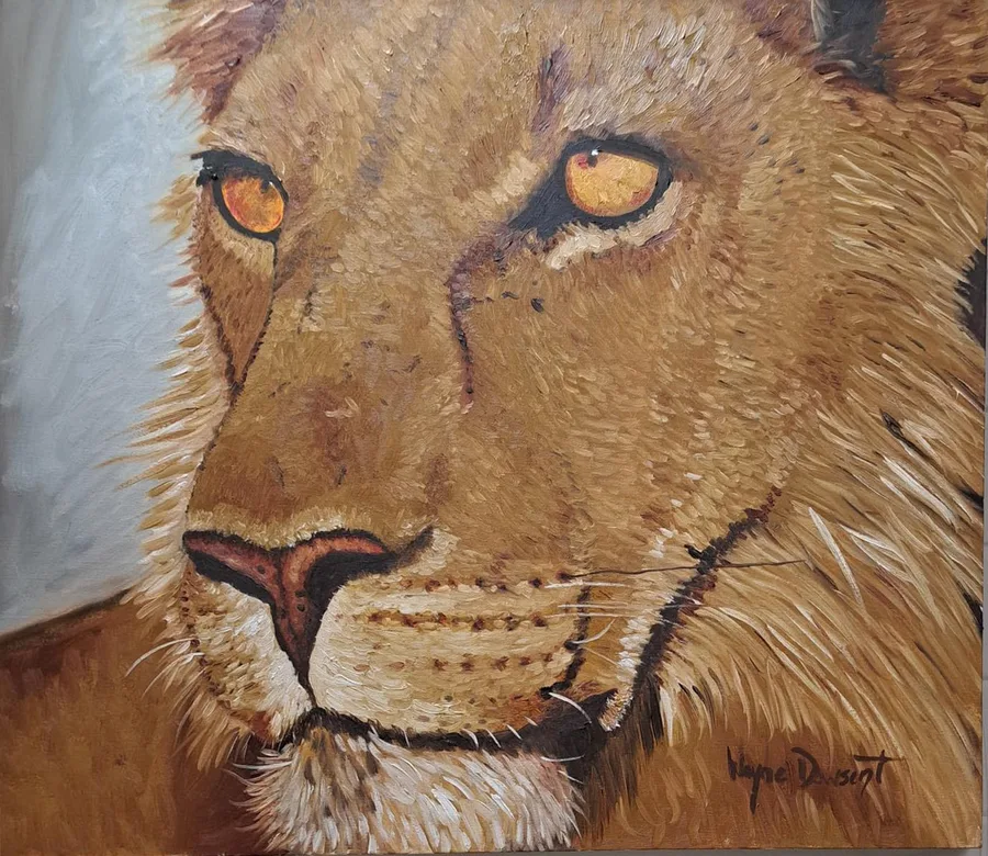 Lion Eyes