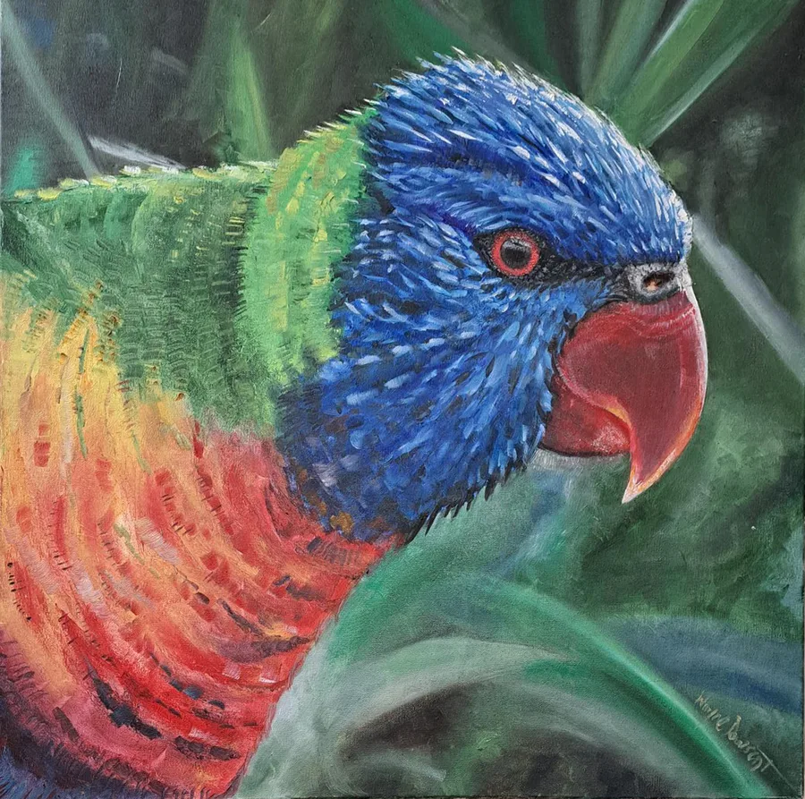 Lorikeet
