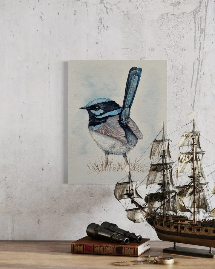 Lovely Blue Wren