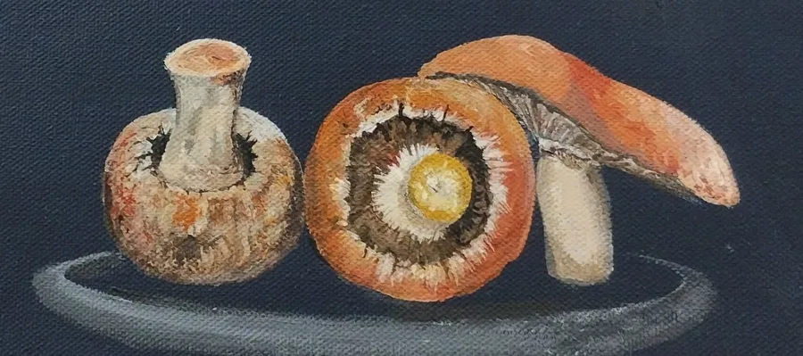 Painting Mushrooms Demo Janelle Gibbon-Heath