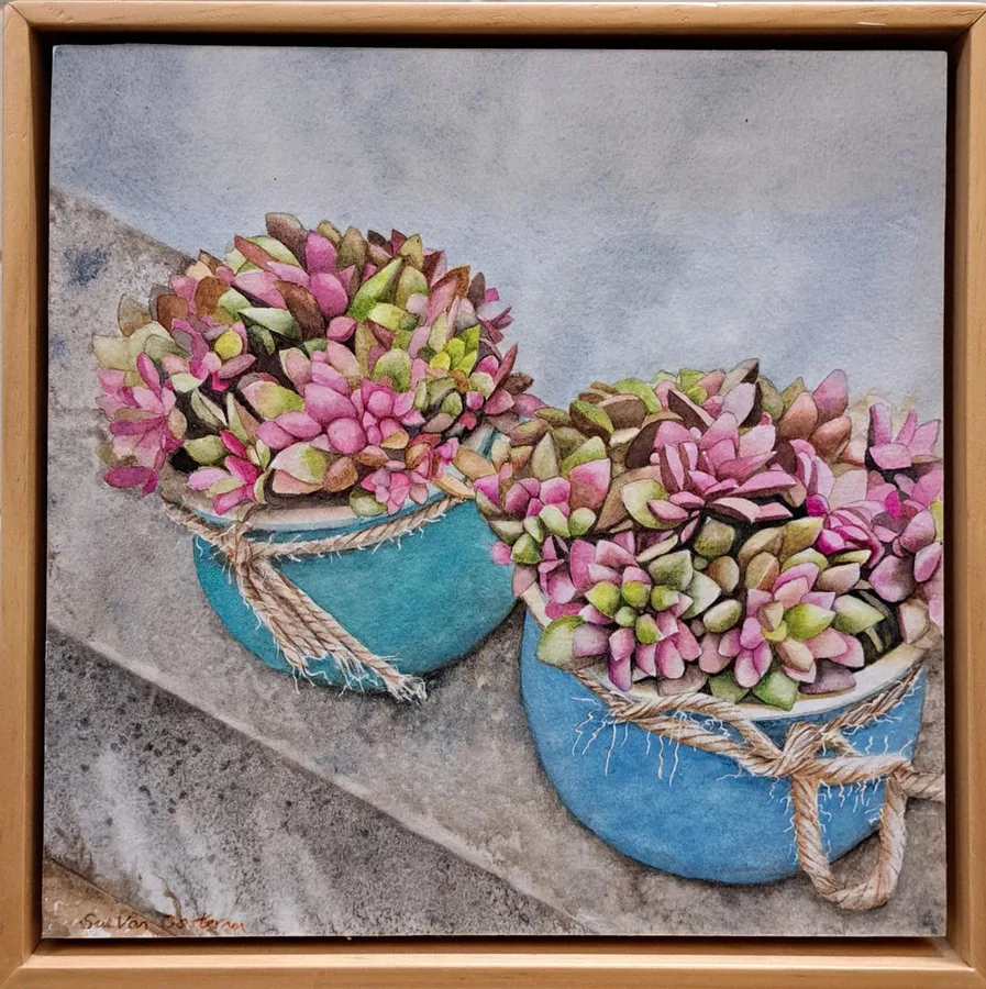 Pots of Colour