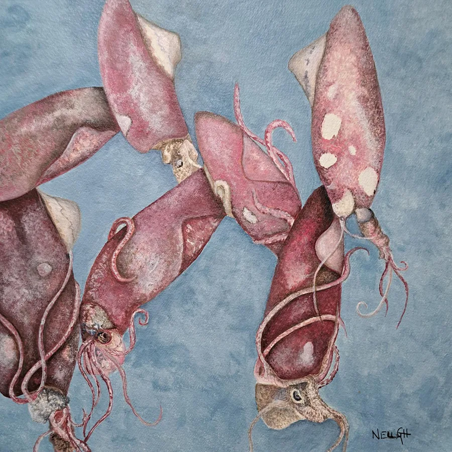 Squid