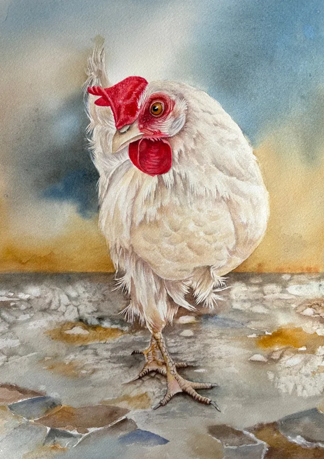 Strutting His Stuff