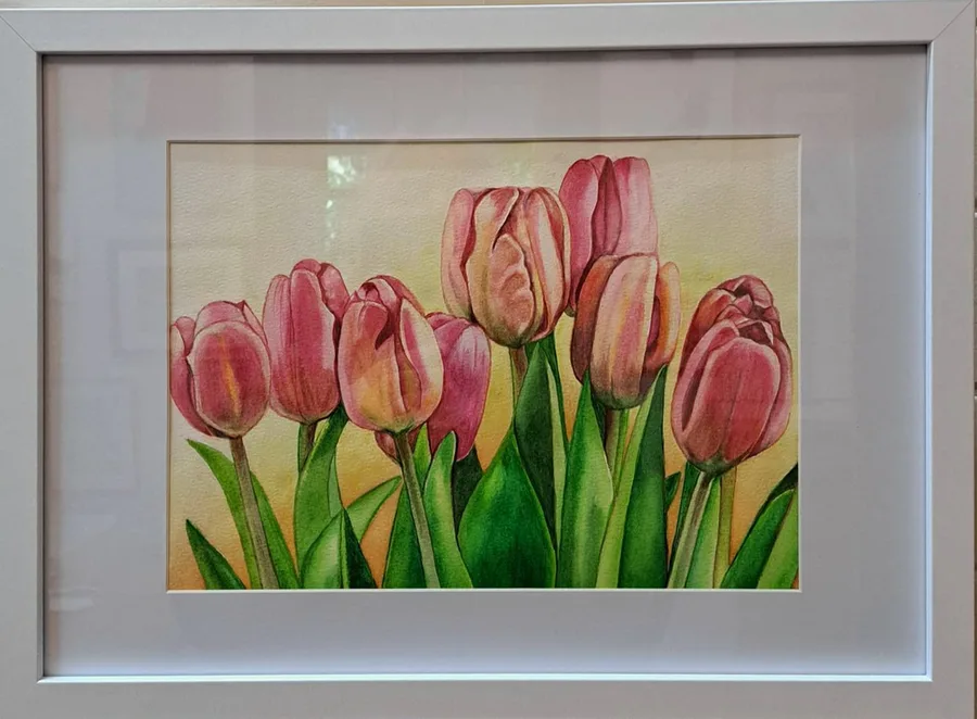 Tulips