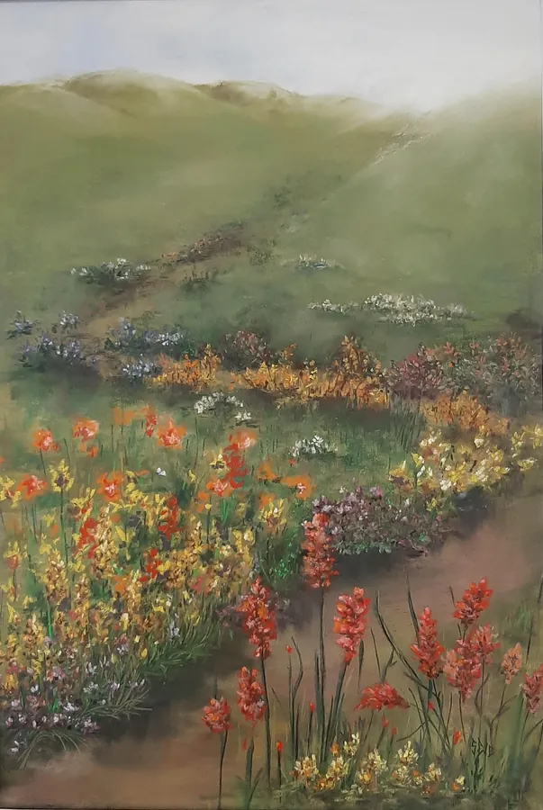 Wildflower Meadow