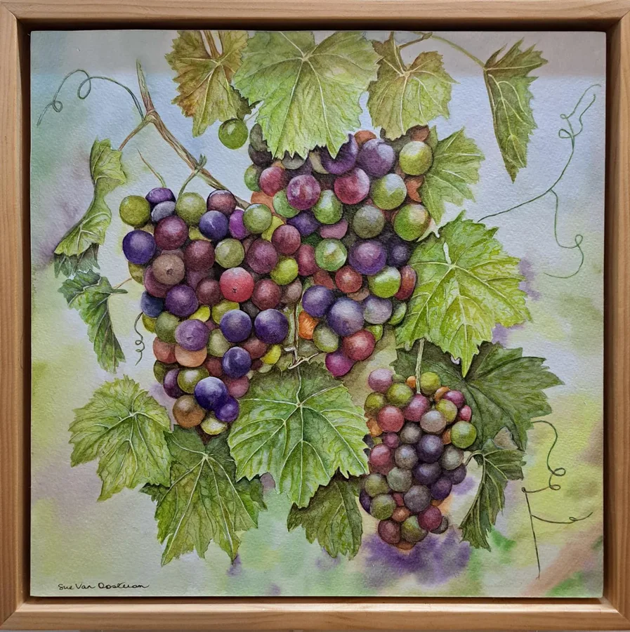 Will be Wine